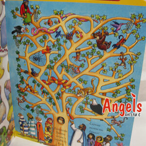 Біблійні лабіринти